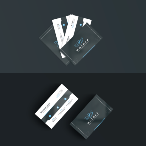 Business Card Template CMYK cover image.