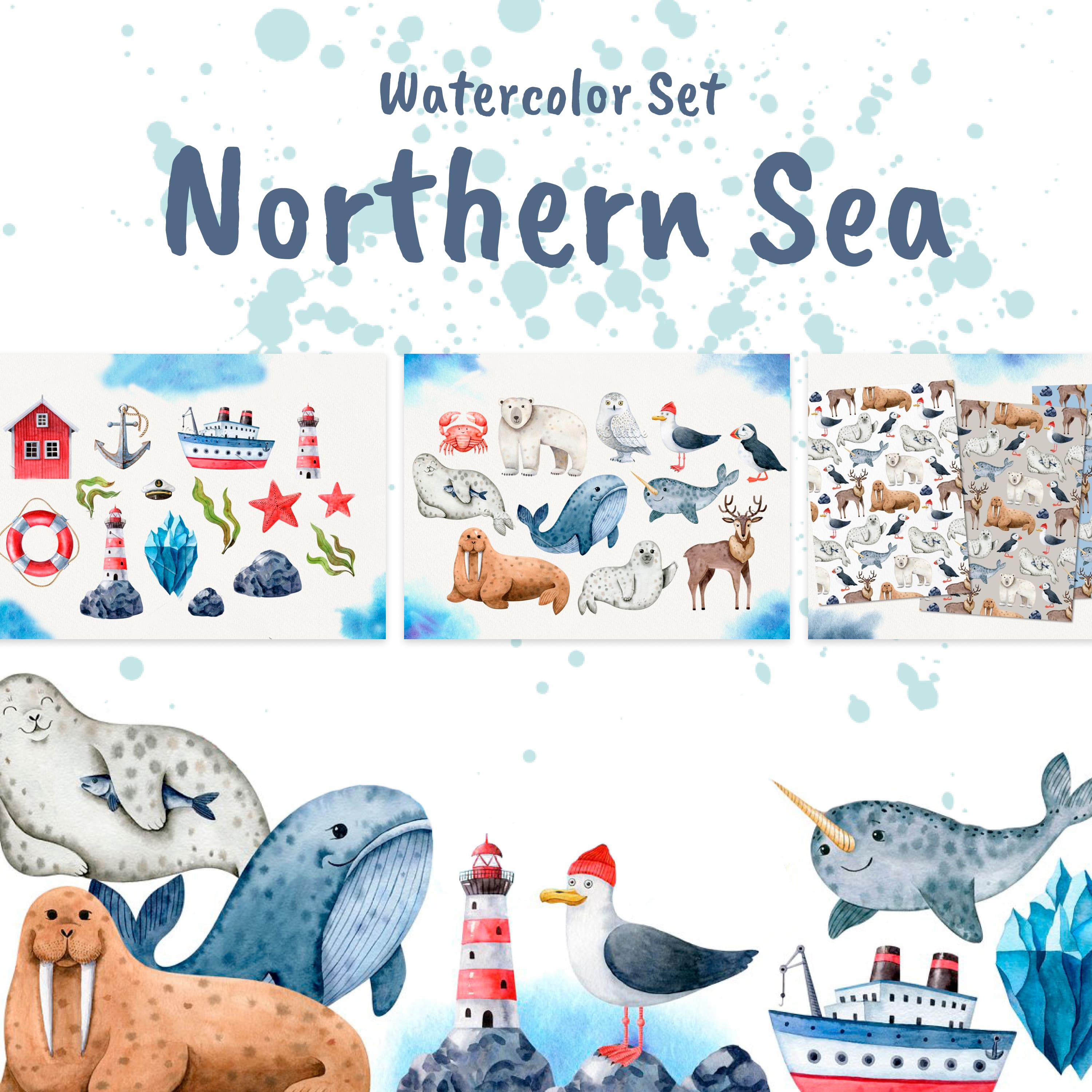 Northern Sea Watercolor Set.