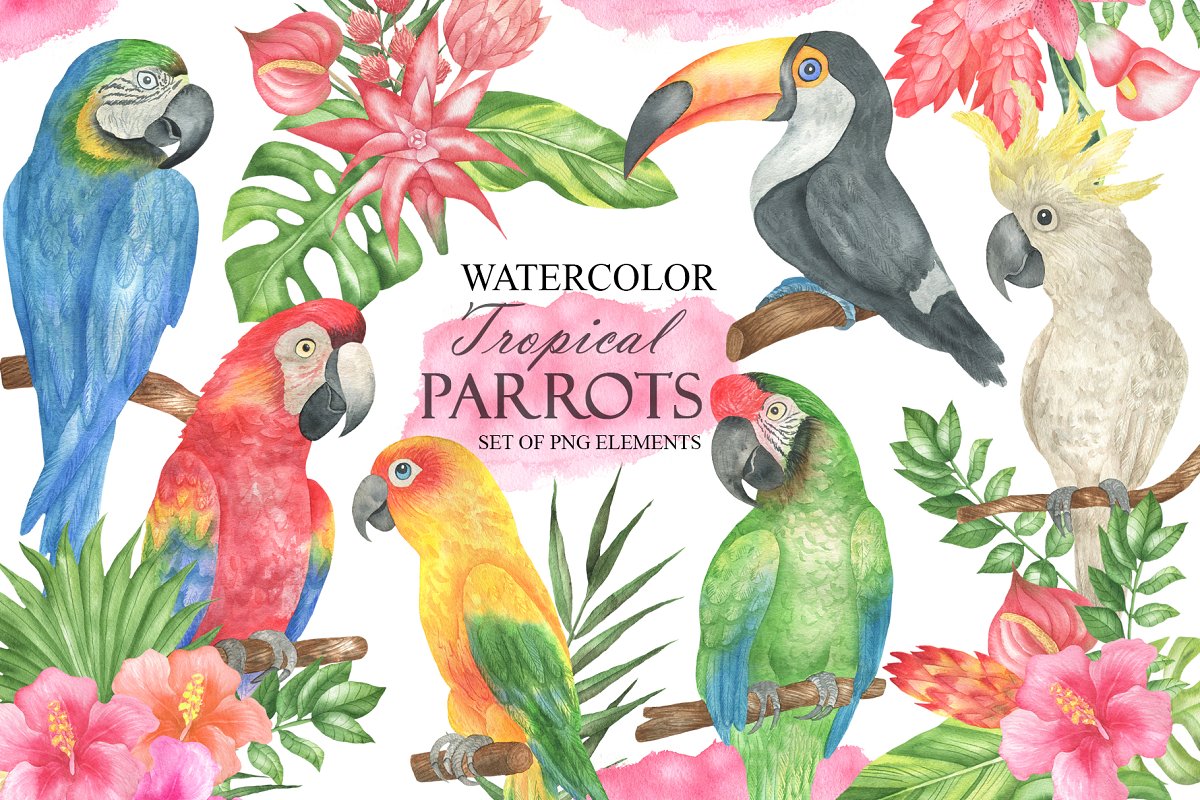 Cover image of Watercolor Tropical Parrots.