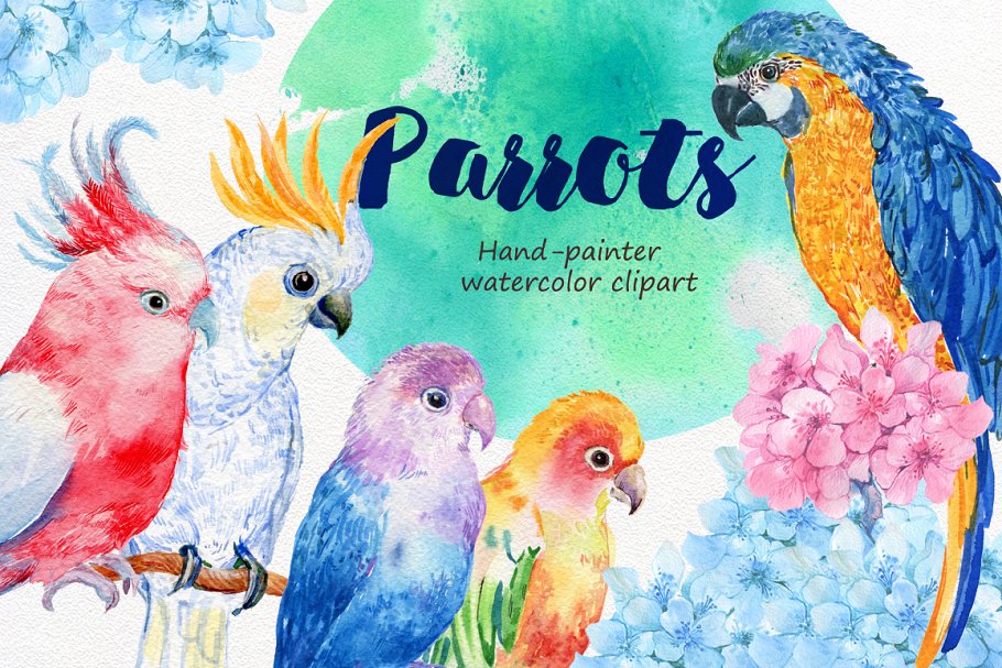 Cover image of 6 birds parrots watercolor.