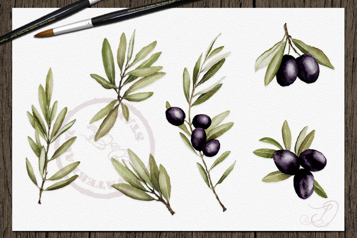 Olive branches with black olives.