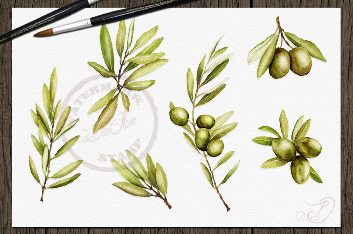 Green olives for your illustration.