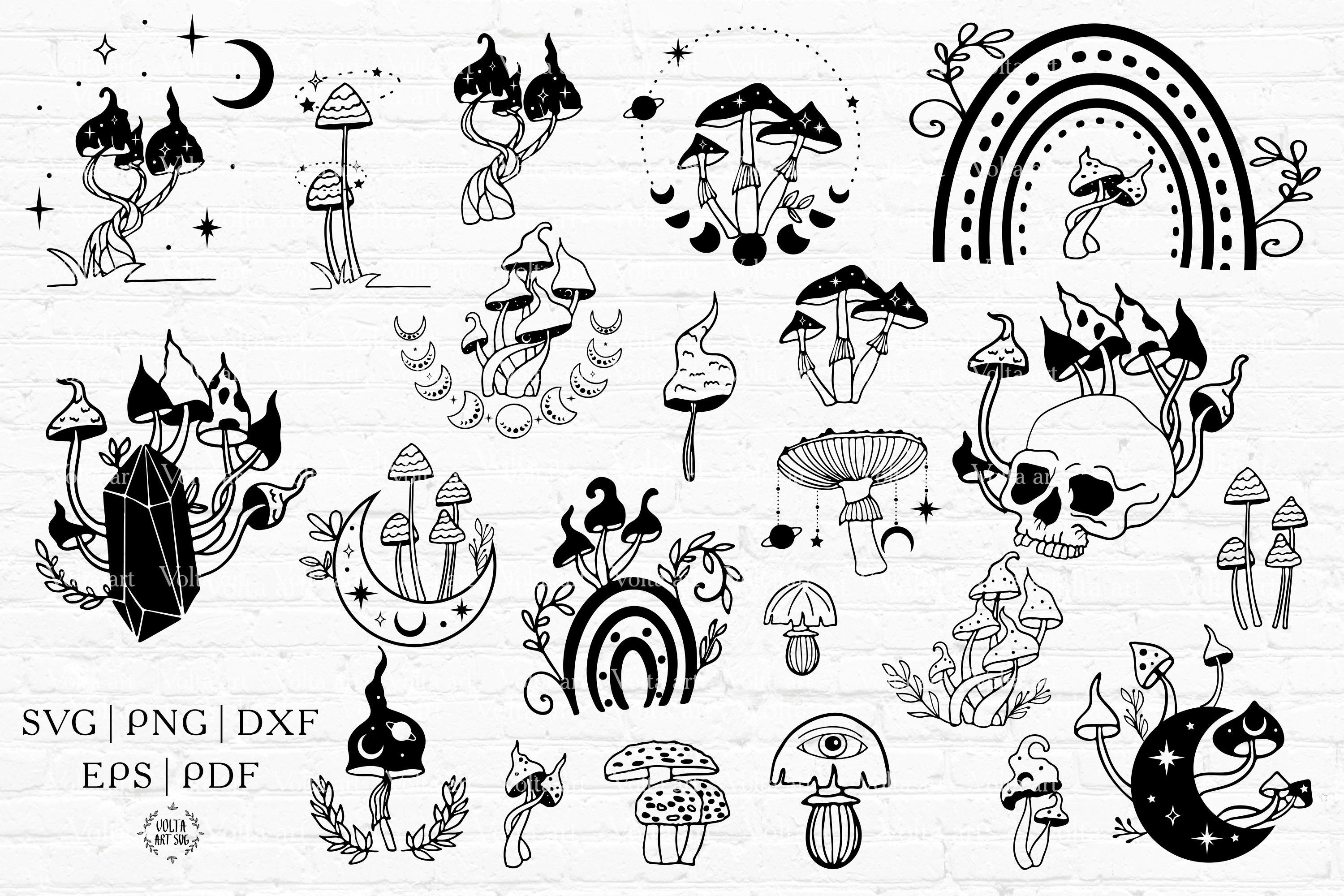 Diverse of elements for creating mushroom illustration.