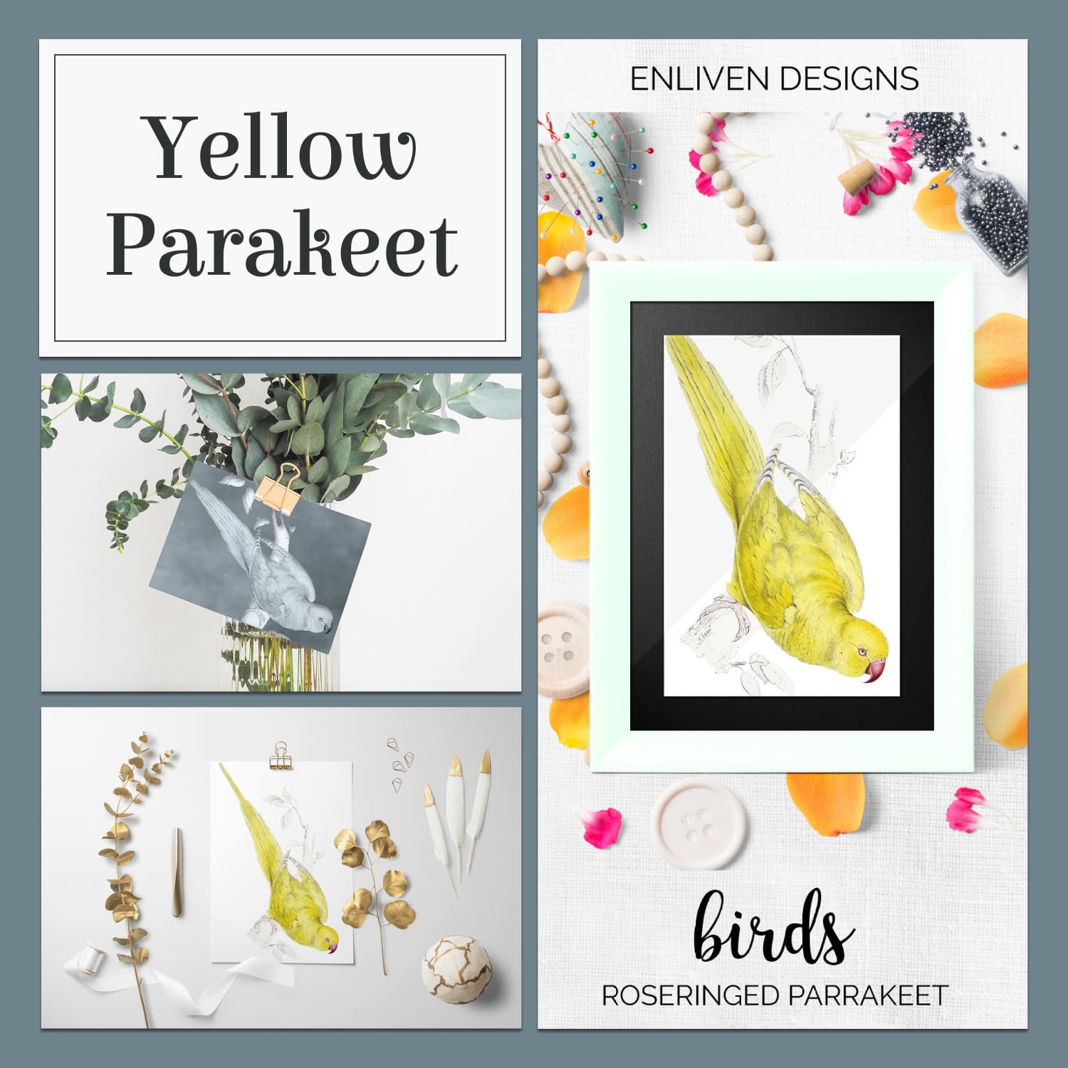 Parrot Yellow Parakeet - main image preview.