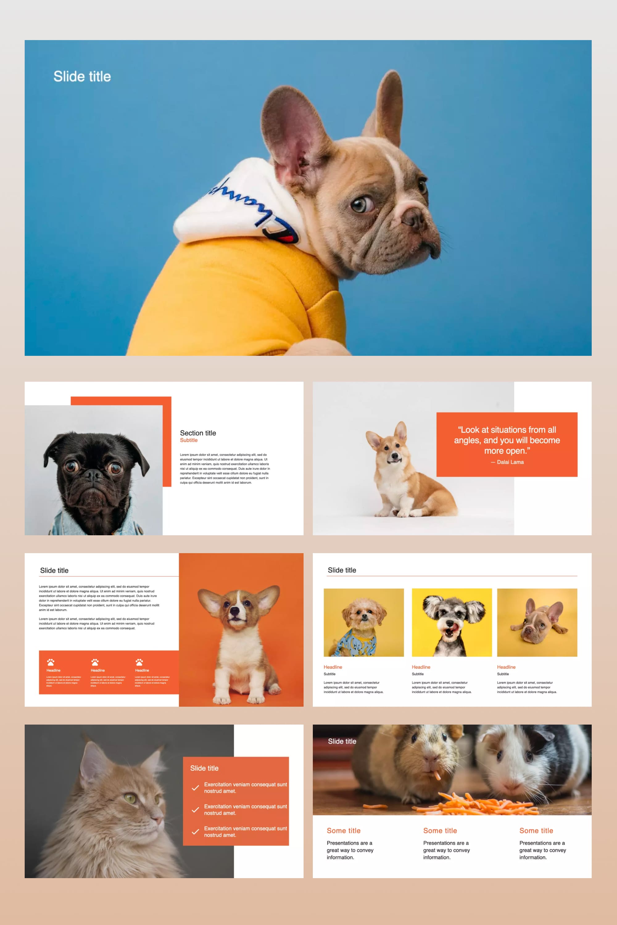 Collage of presentation pages with bright background photos of pets.