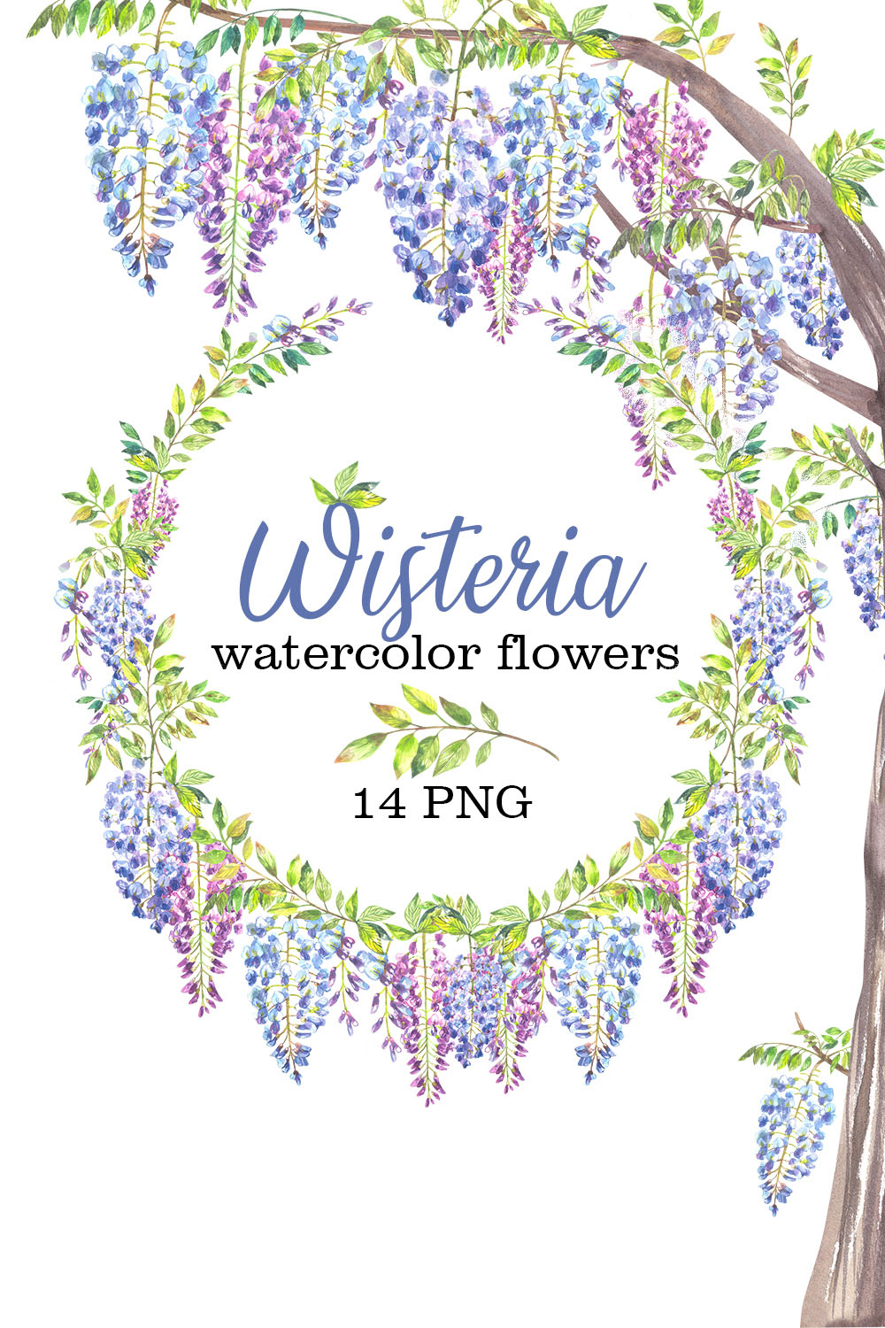 Wisteria Watercolor Flowers Illustration Pinterest Image.