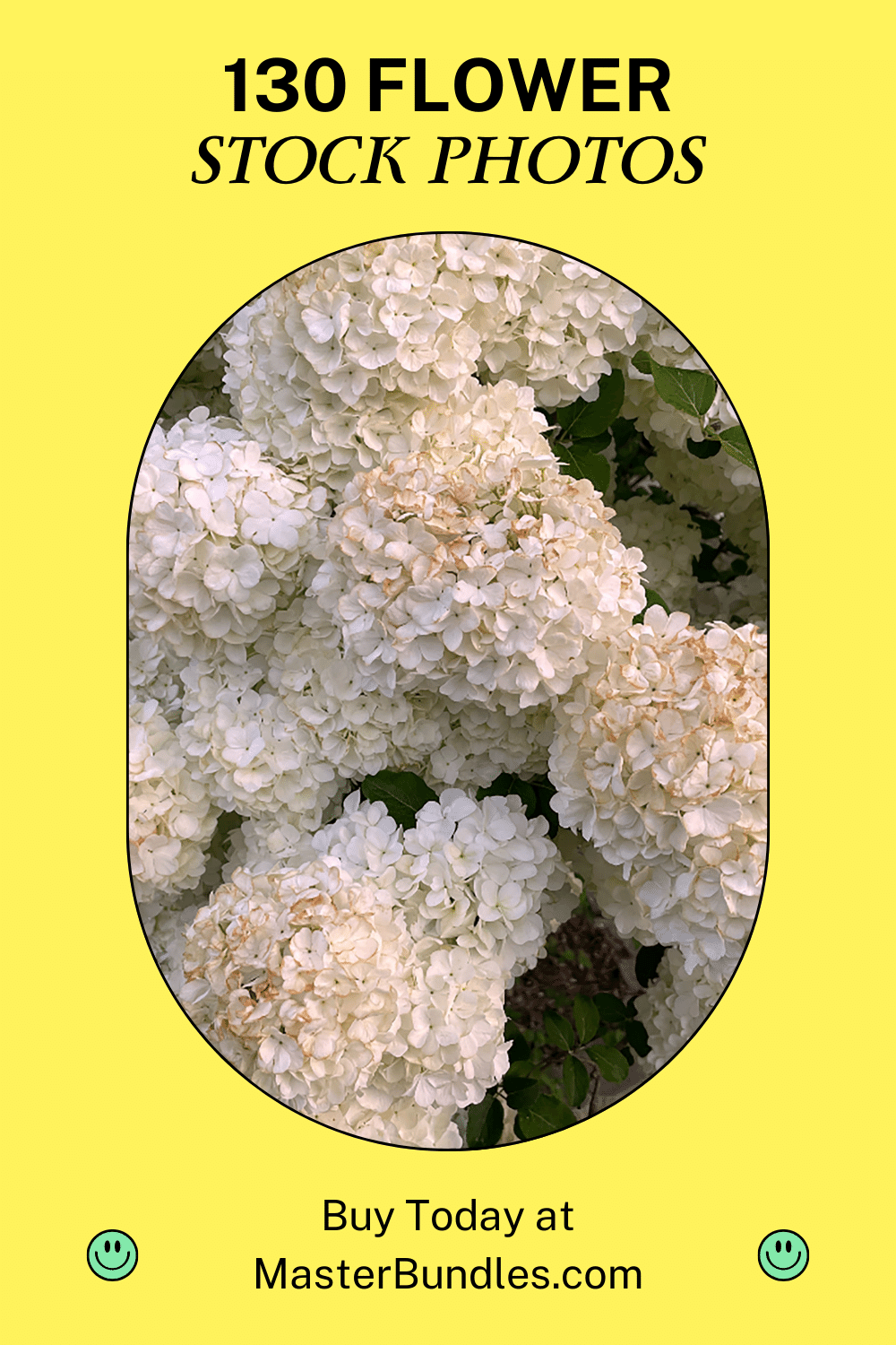 130 Beautiful Stock Photos Of Flowers Pinterest Image.