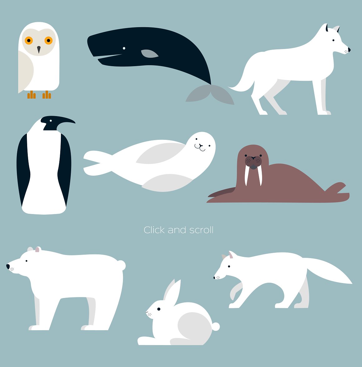 Diverse of polar animals.