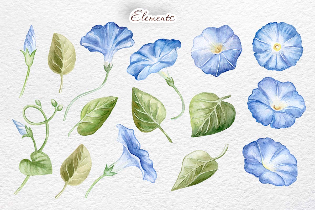 Ukraine Watercolor Flowers Clipart