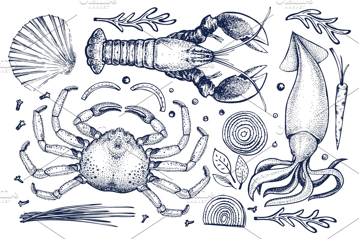 Hand drawn seafood, fish, vegetable and spice illustrations in monochrome style.