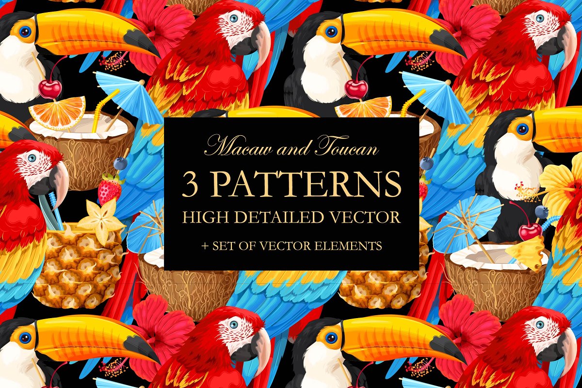 Cover image of Macaw and Toucan Patterns.