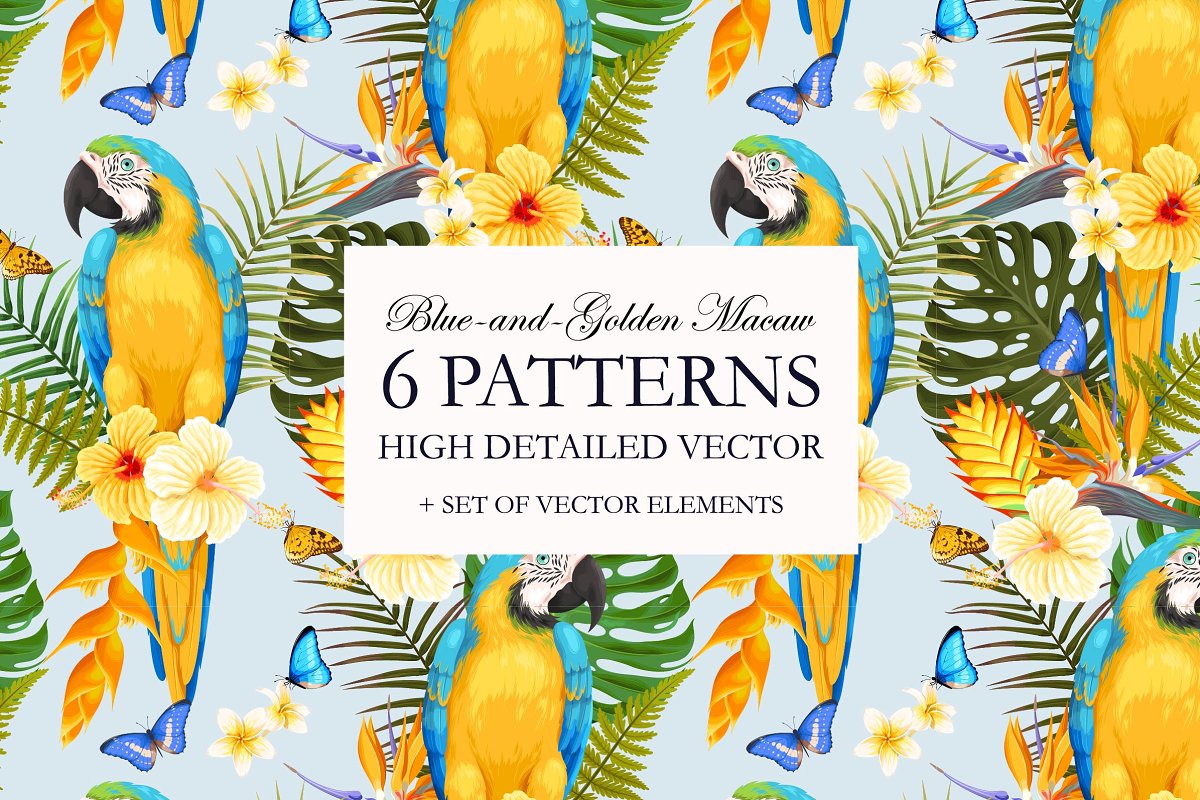 Cover image of Blue-and-Golden Macaw Patterns.