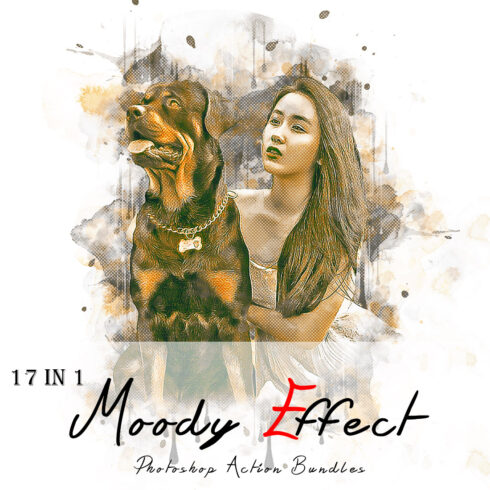17 In 1 Moody Effect Photoshop Action Bundles Cover Image.