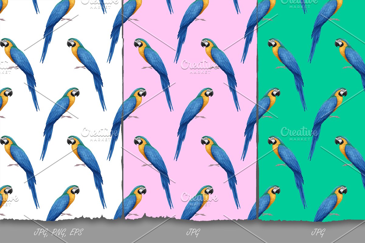 Parrot Pattern Design in 3 colors.