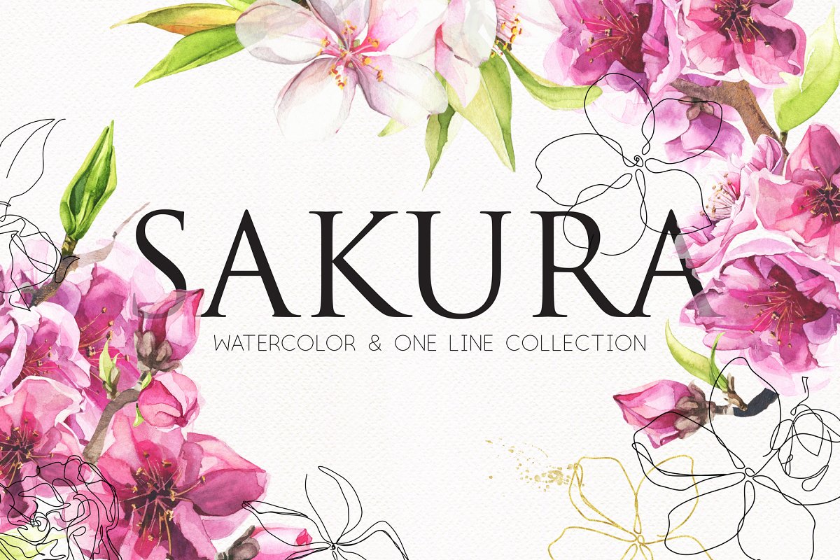 Cover image of Watercolor line art sakura flowers.
