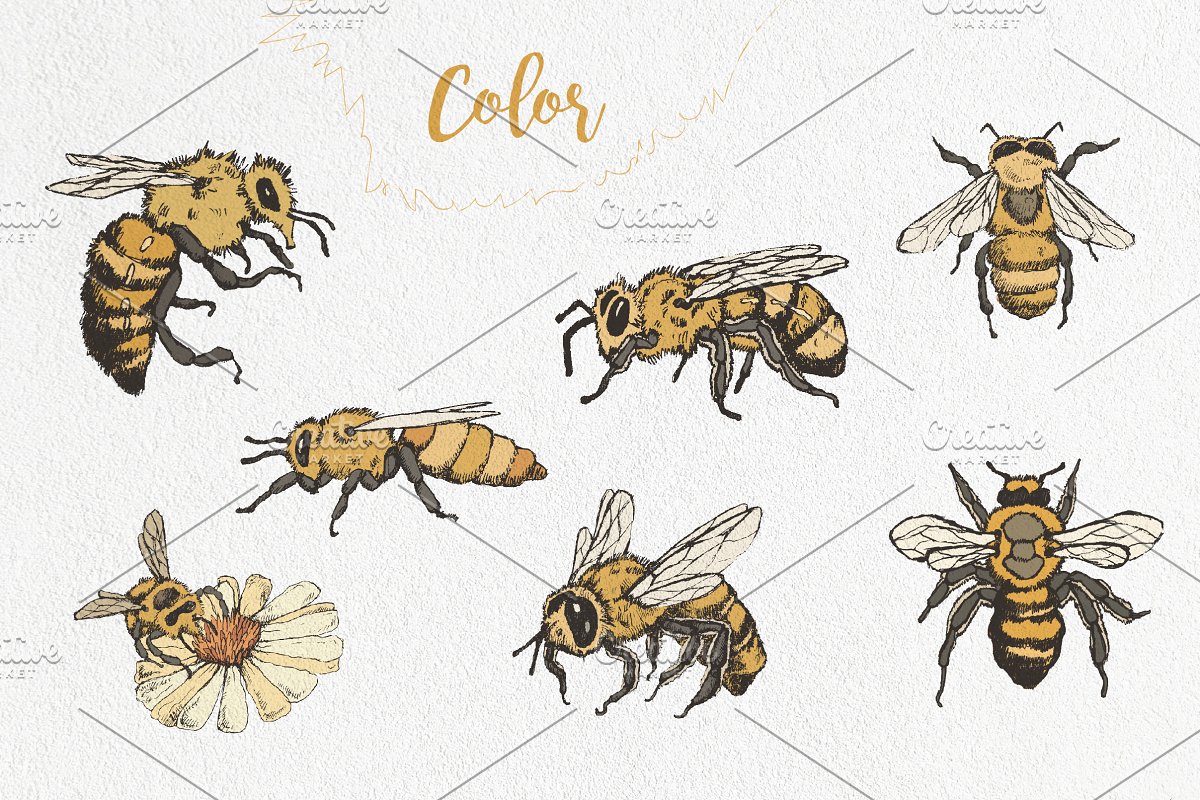 Colored Honey bees.