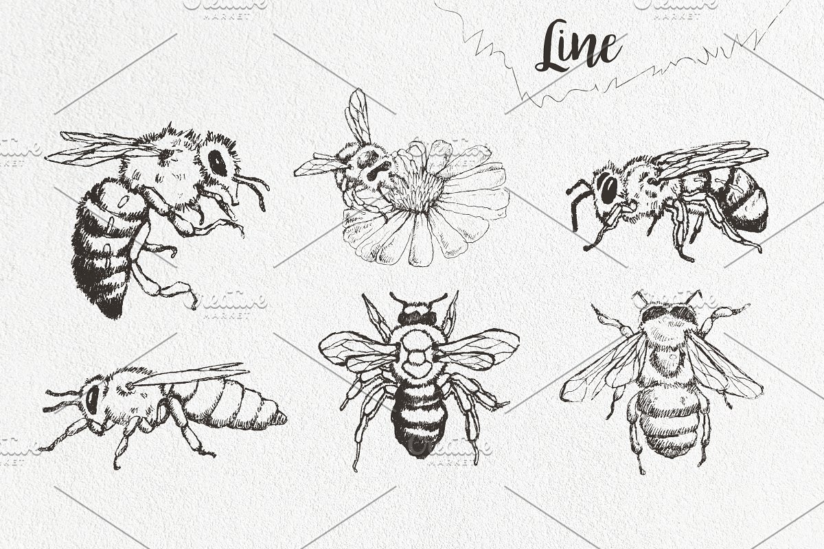Line honey bees.