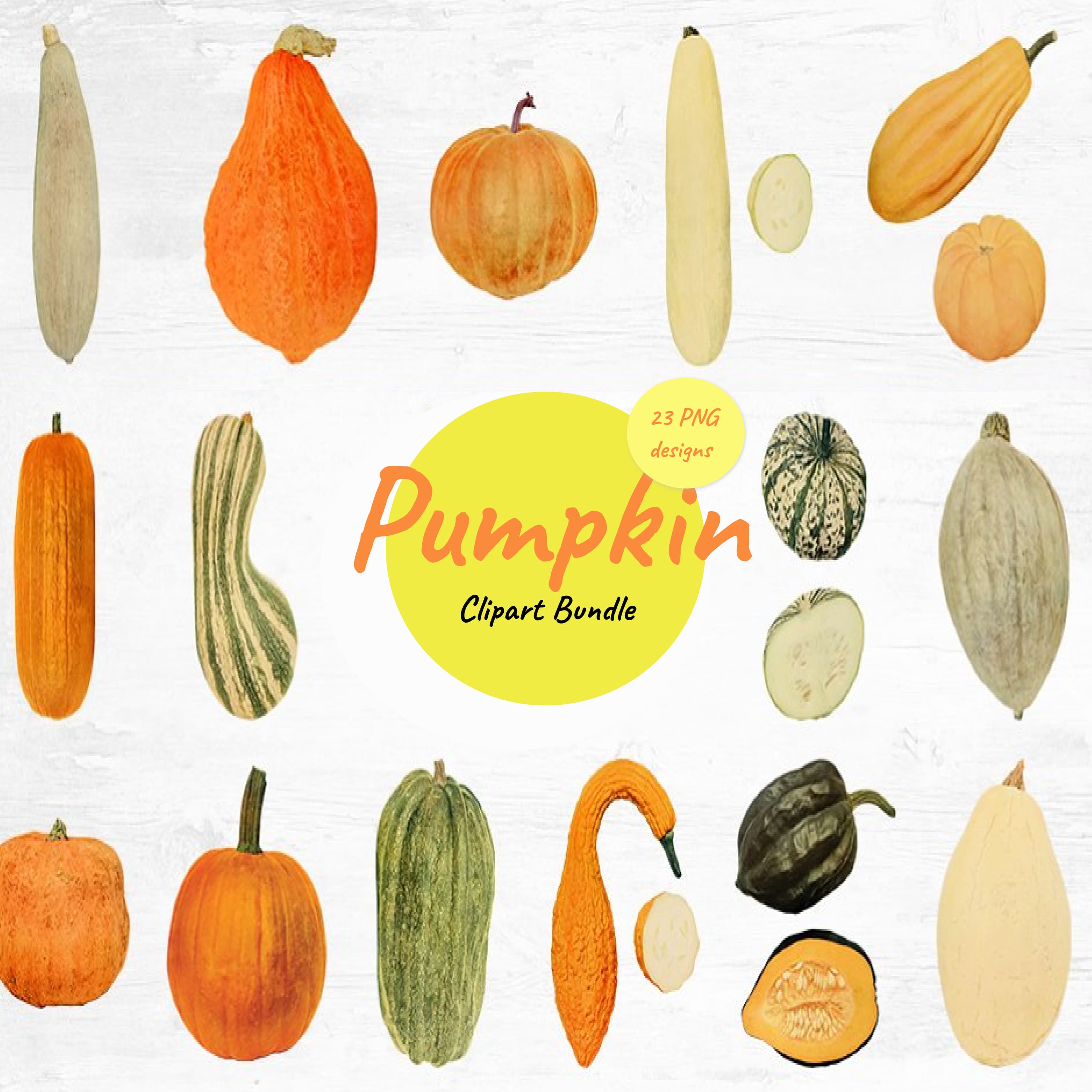 Pumpkin Clipart Bundle (20) cover.