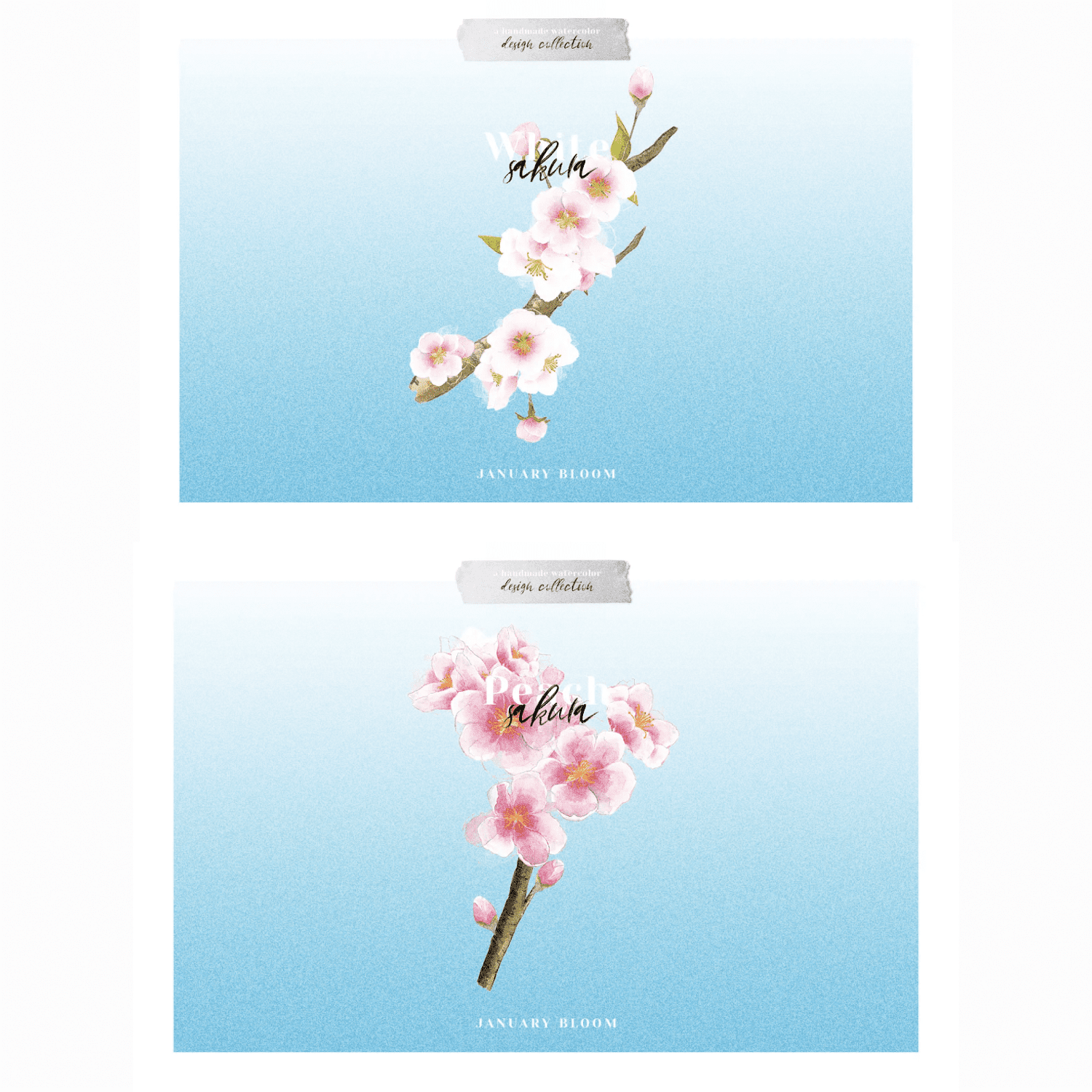 Sakura | Cherry Blossom Florals created by January Bloom.