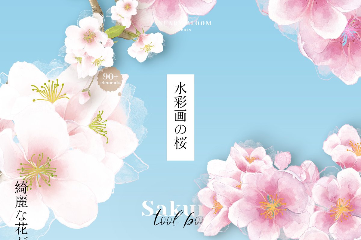 Cover image of Sakura cherry blossom watercolor.
