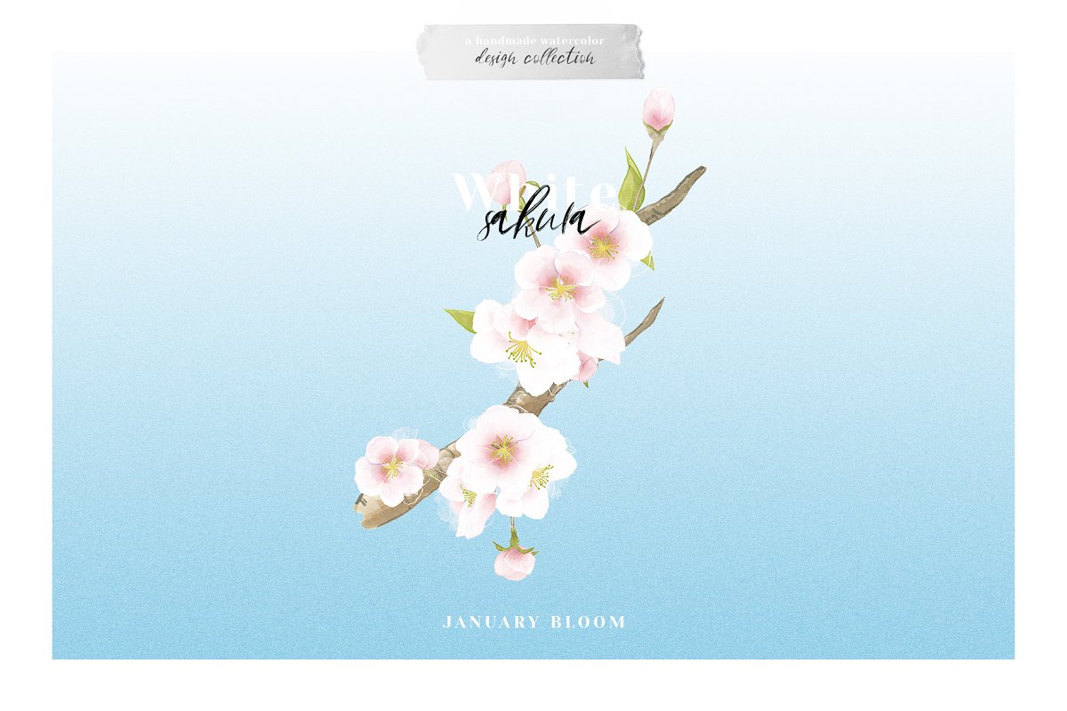 This is a a delicate floral watercolor collection.