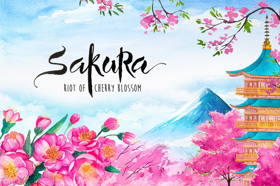 Cover image of Sakura. Riot of Cherry blossom.