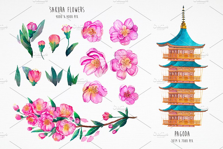 sakura 4Sakura flowers and pagoda illustrations.