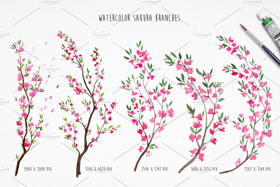 Watercolor sakura branches.