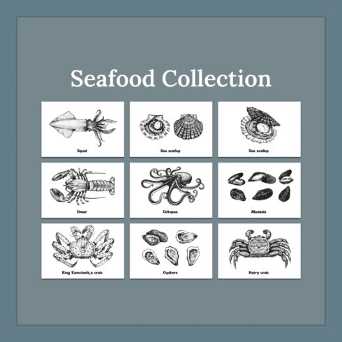 Seafood collection - main image preview.