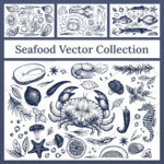 Seafood vector collection - main image preview.