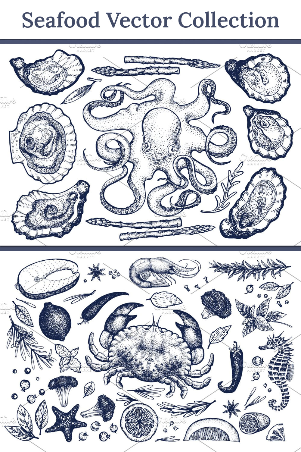 Seafood vector collection - pinterest image preview.