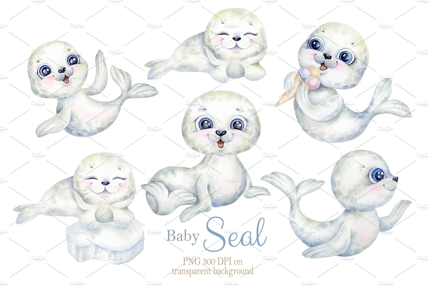 Diverse of seals babies mood.