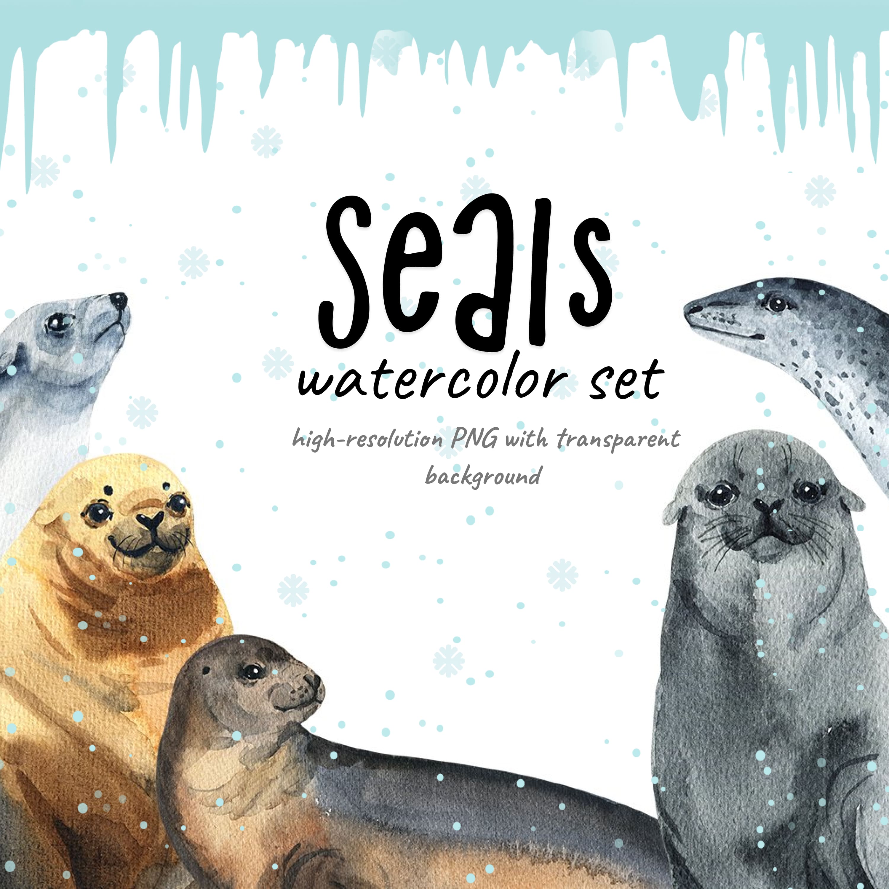 Seals - watercolor set cover.