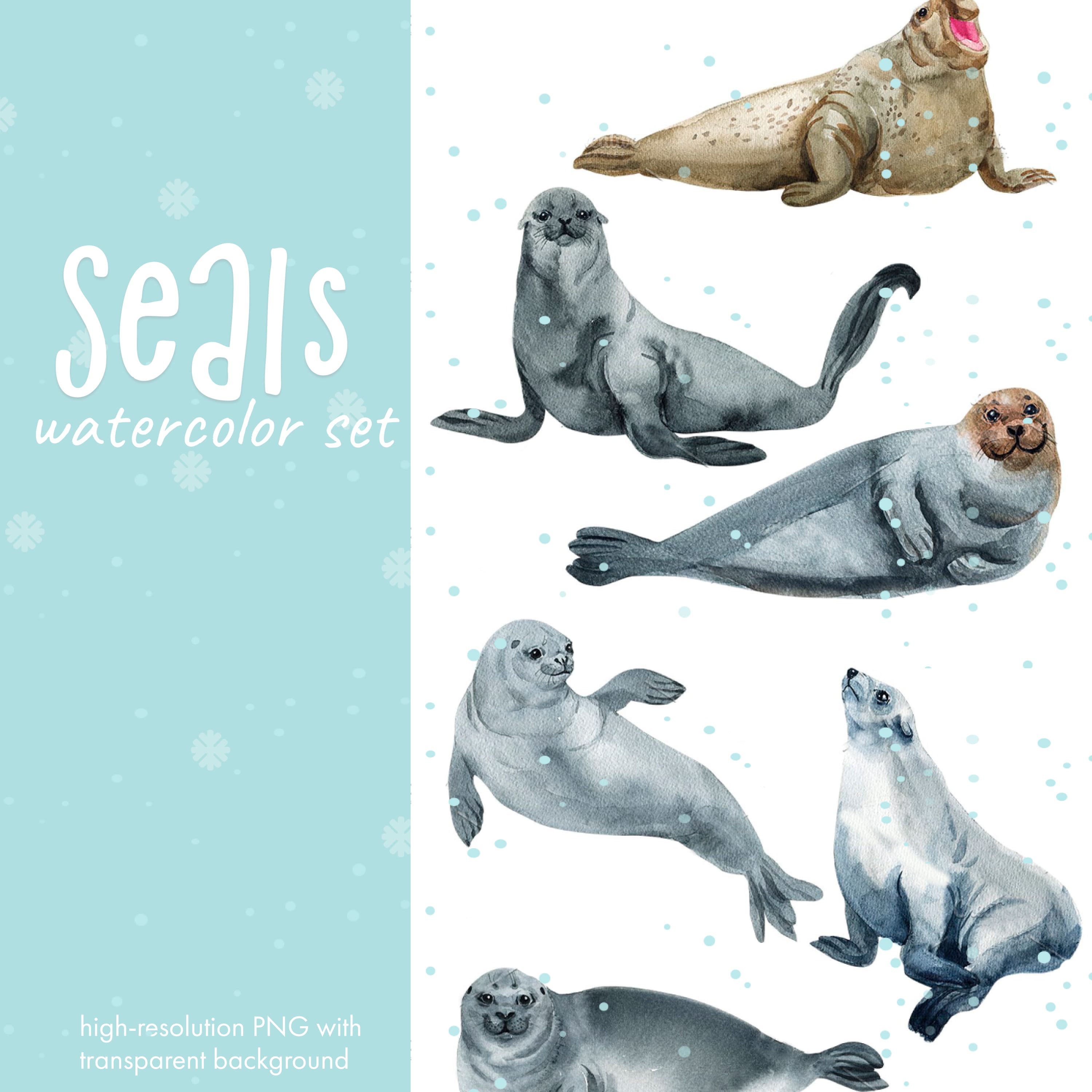 Seals - watercolor set.