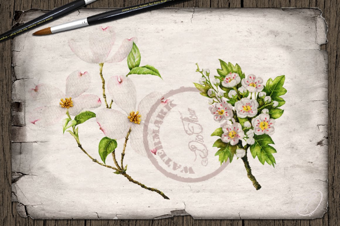 Vintage paper with delicate flowers.