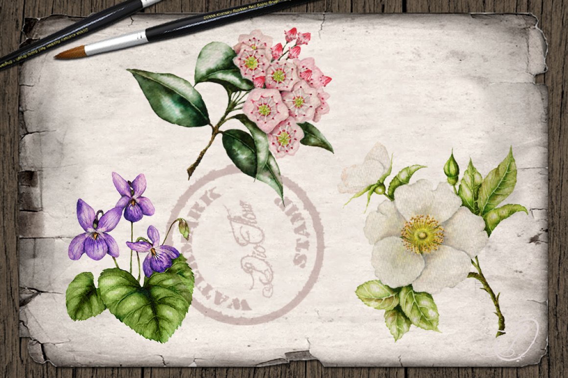 Cool spring flowers for your perfect illustration.