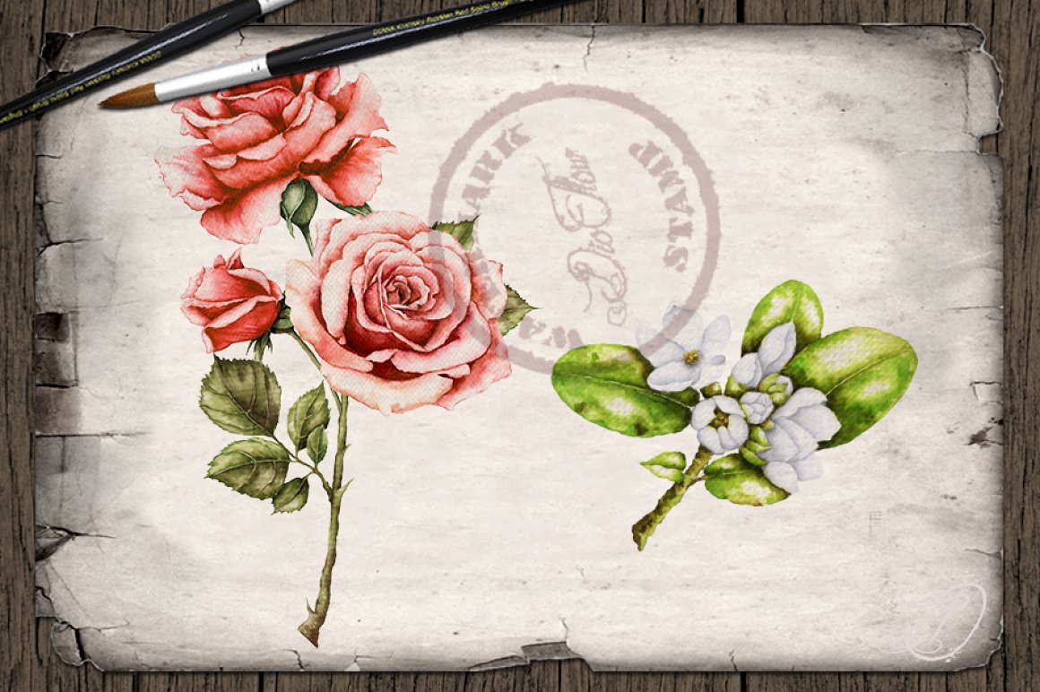 Pink roses for your illustration.
