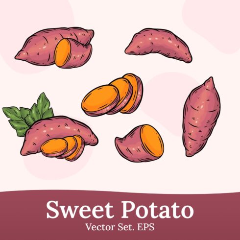 Wweet potato vector set - main image preview.
