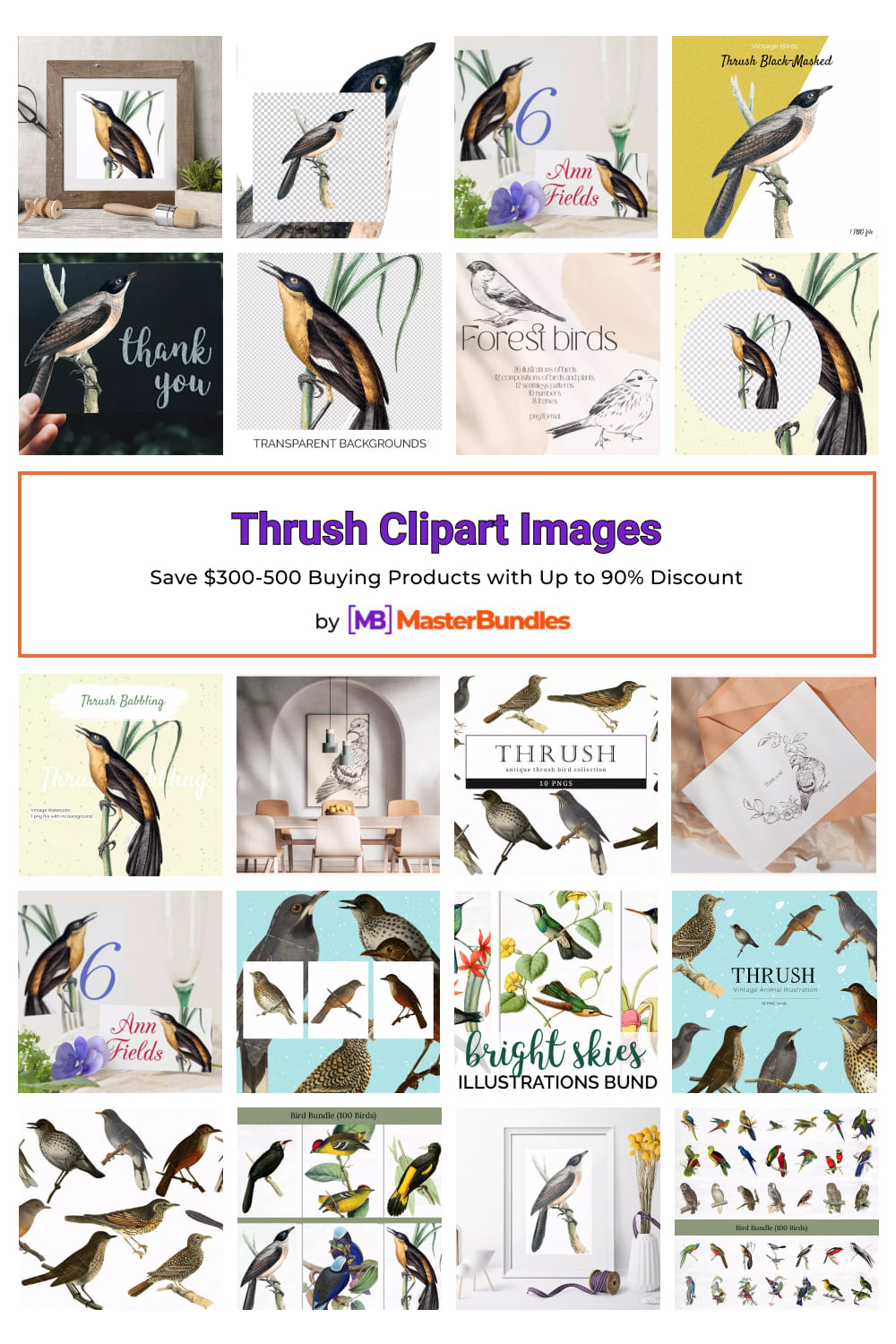 Thrush Clipart Images Pinterest.