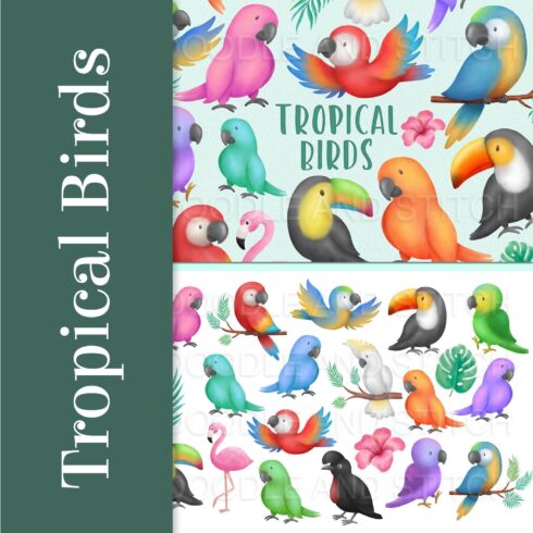 Tropical birds watercolor clipart - main image preview.