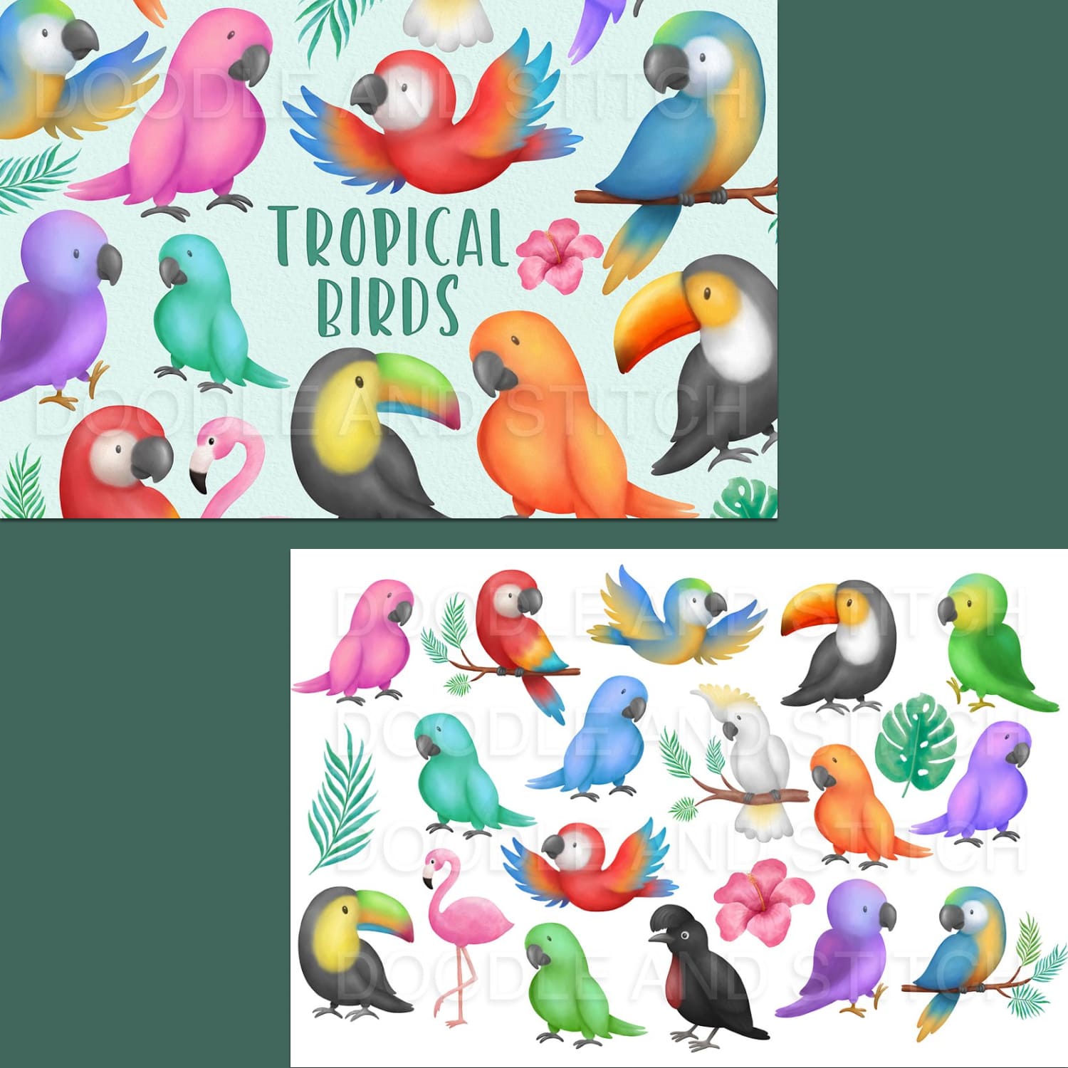 Tropical Birds Watercolor Clipart created by Doodle and Stitch.
