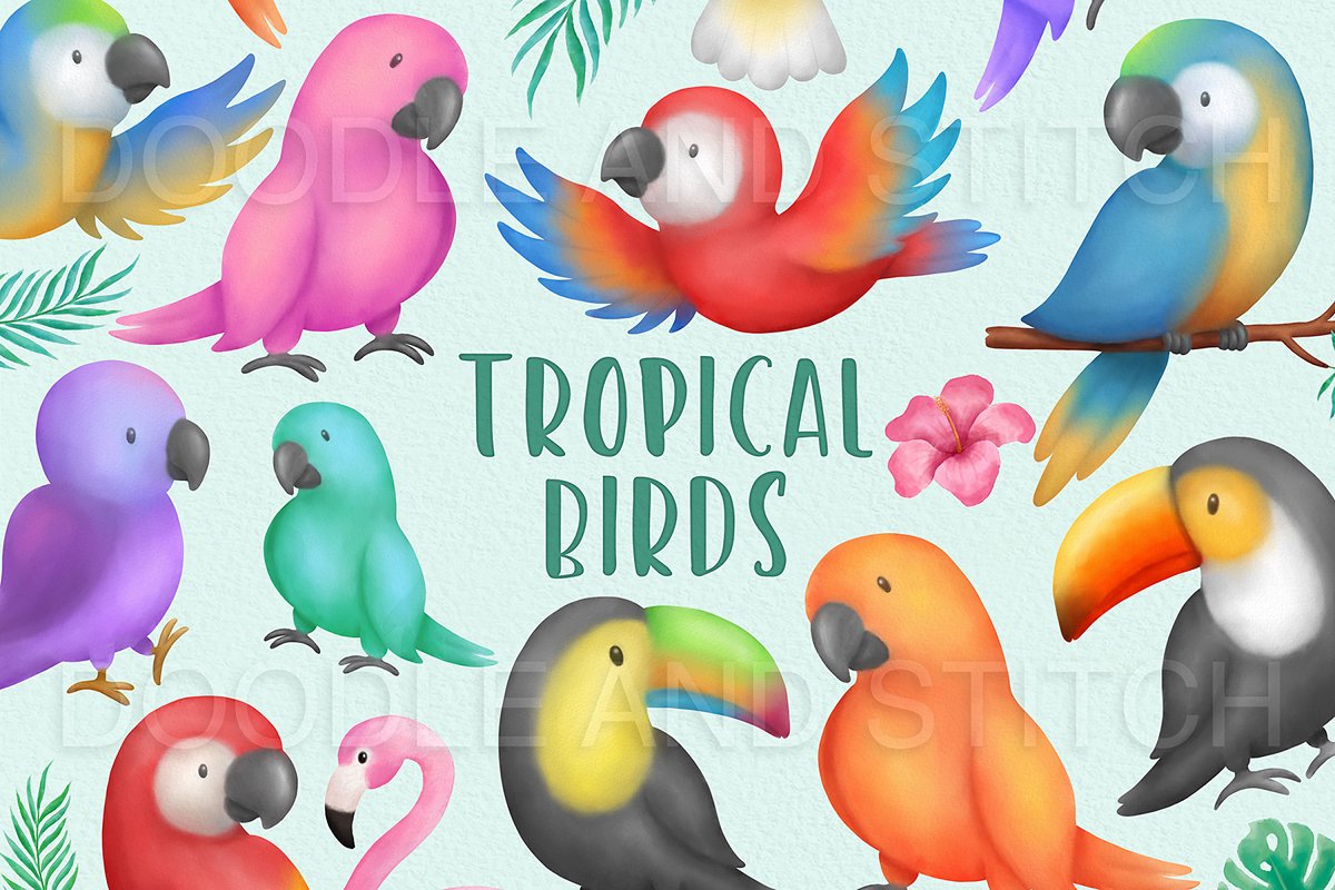 Cover image of Tropical Birds Watercolor Clipart.