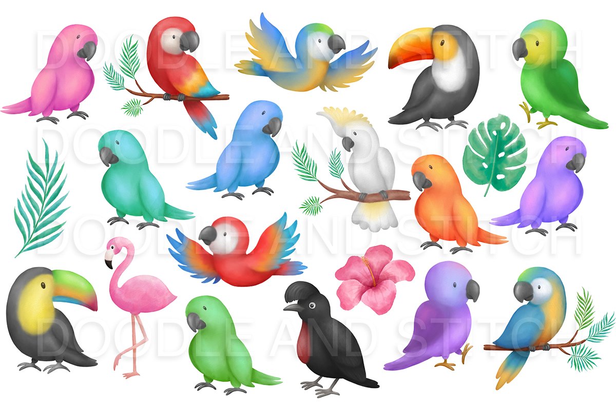A collection of digitally enhanced funny tropical birds that will work beautifully for any project or wall art for your home.