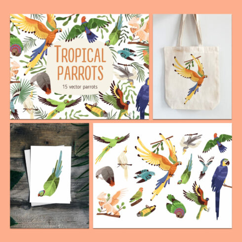 Tropical parrots set - main image preview.