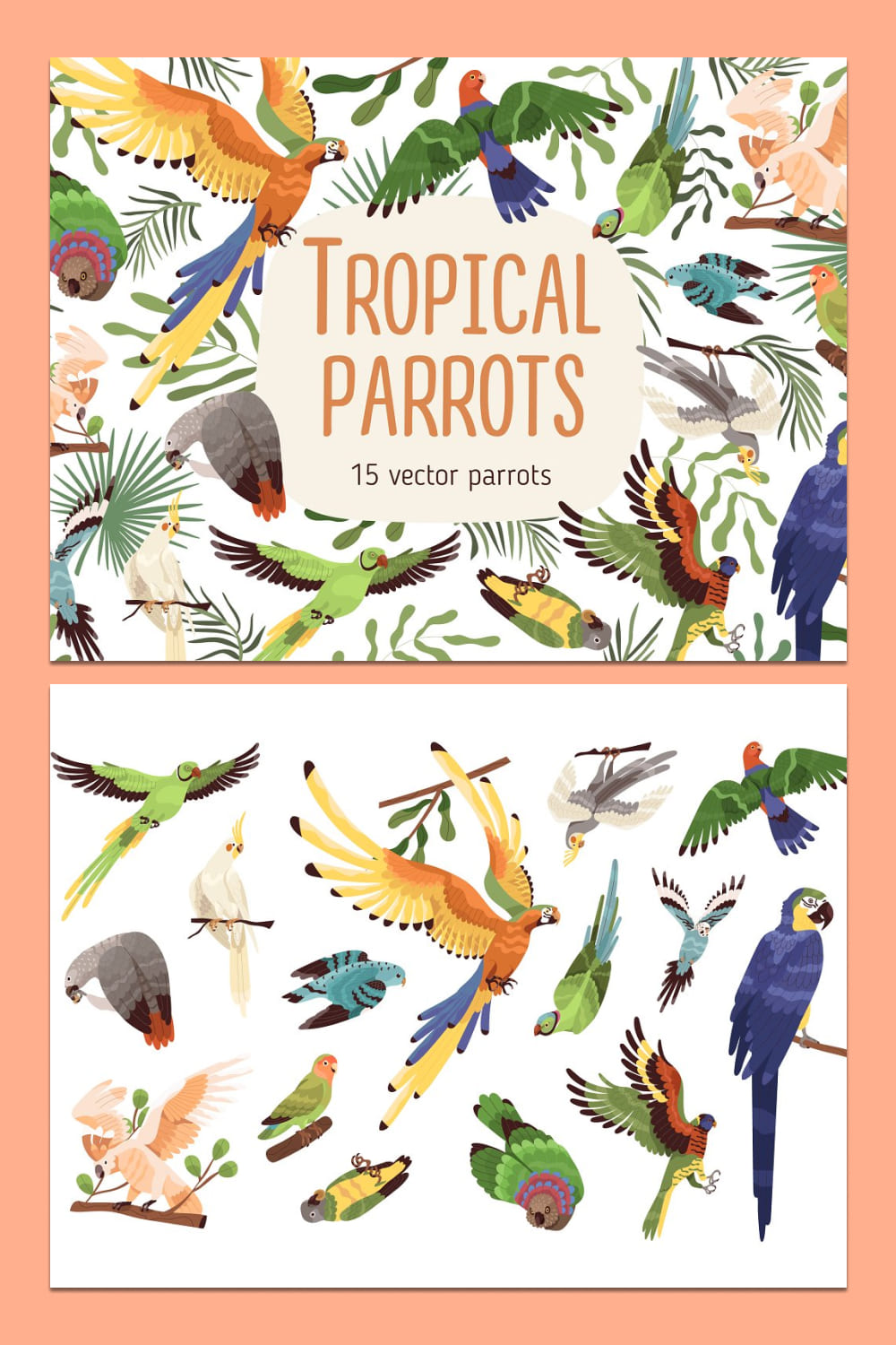 Tropical parrots set - pinterest image preview.