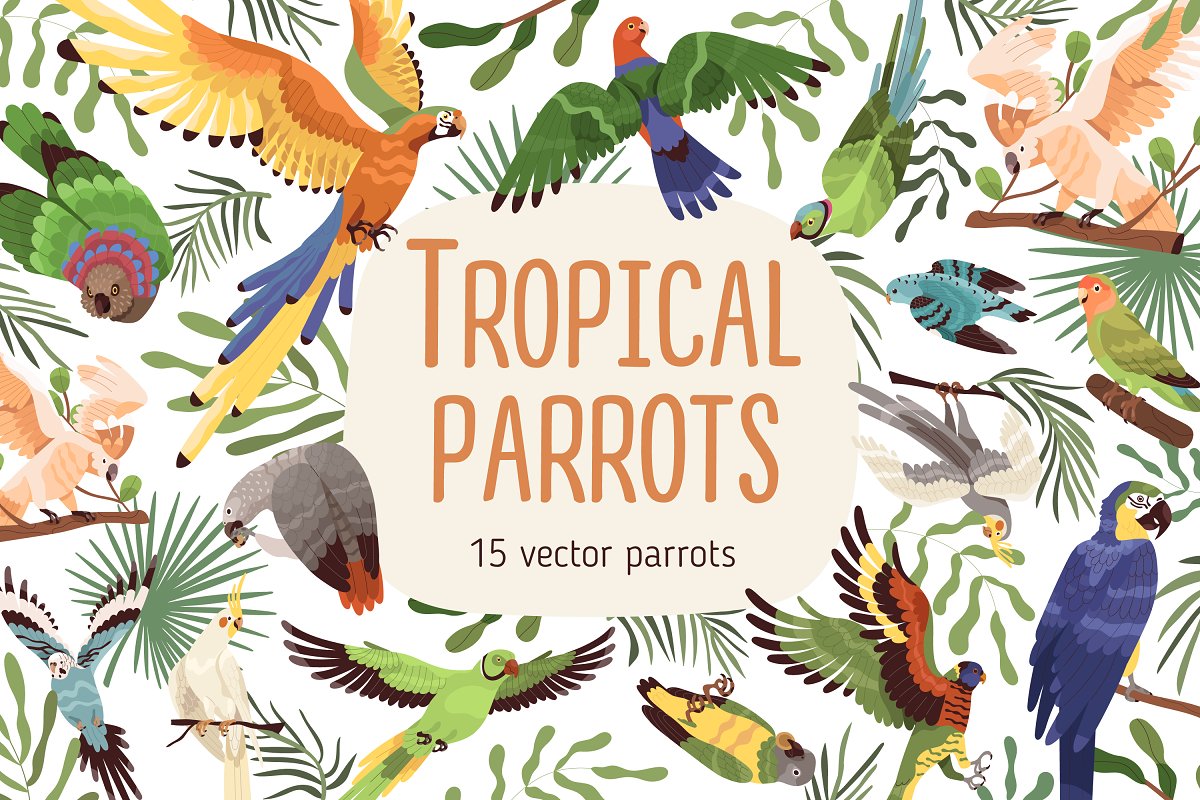 Cover image of Tropical parrots set.
