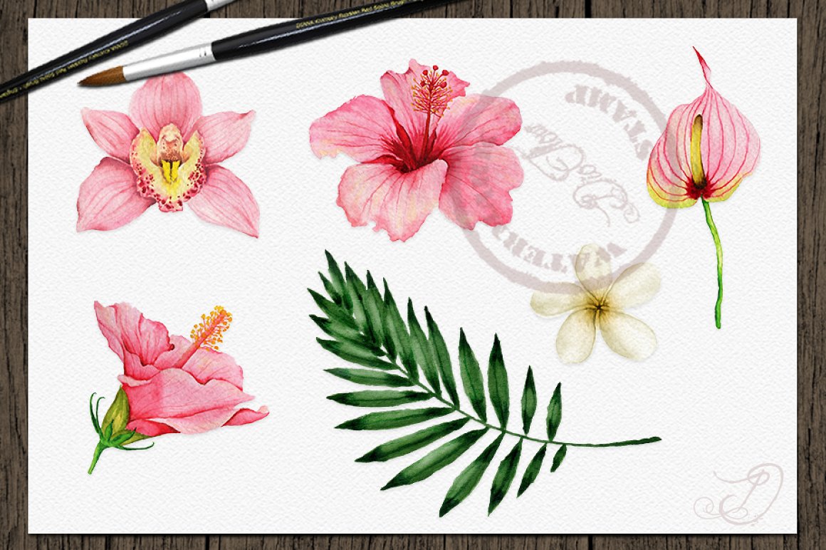 Tropical flowers for exotic illustration.