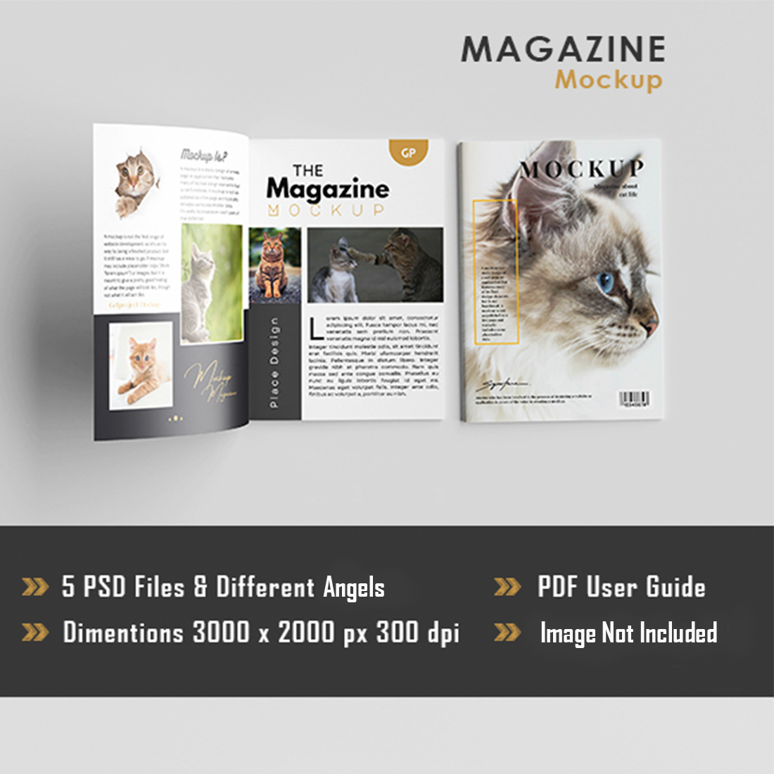 5 Realistic Magazine Mockup cover image.