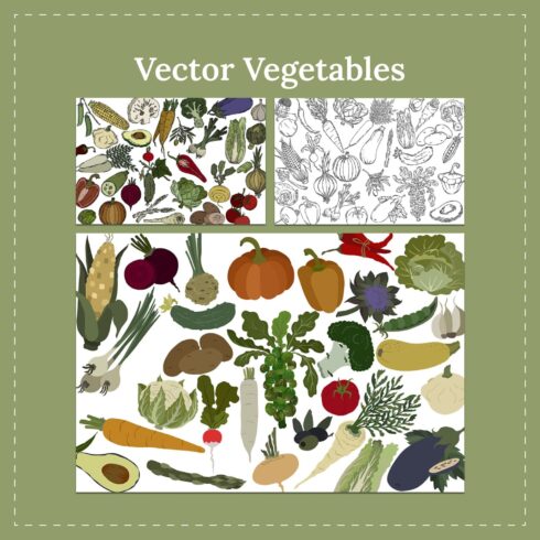 Vector vegetables - main image preview.