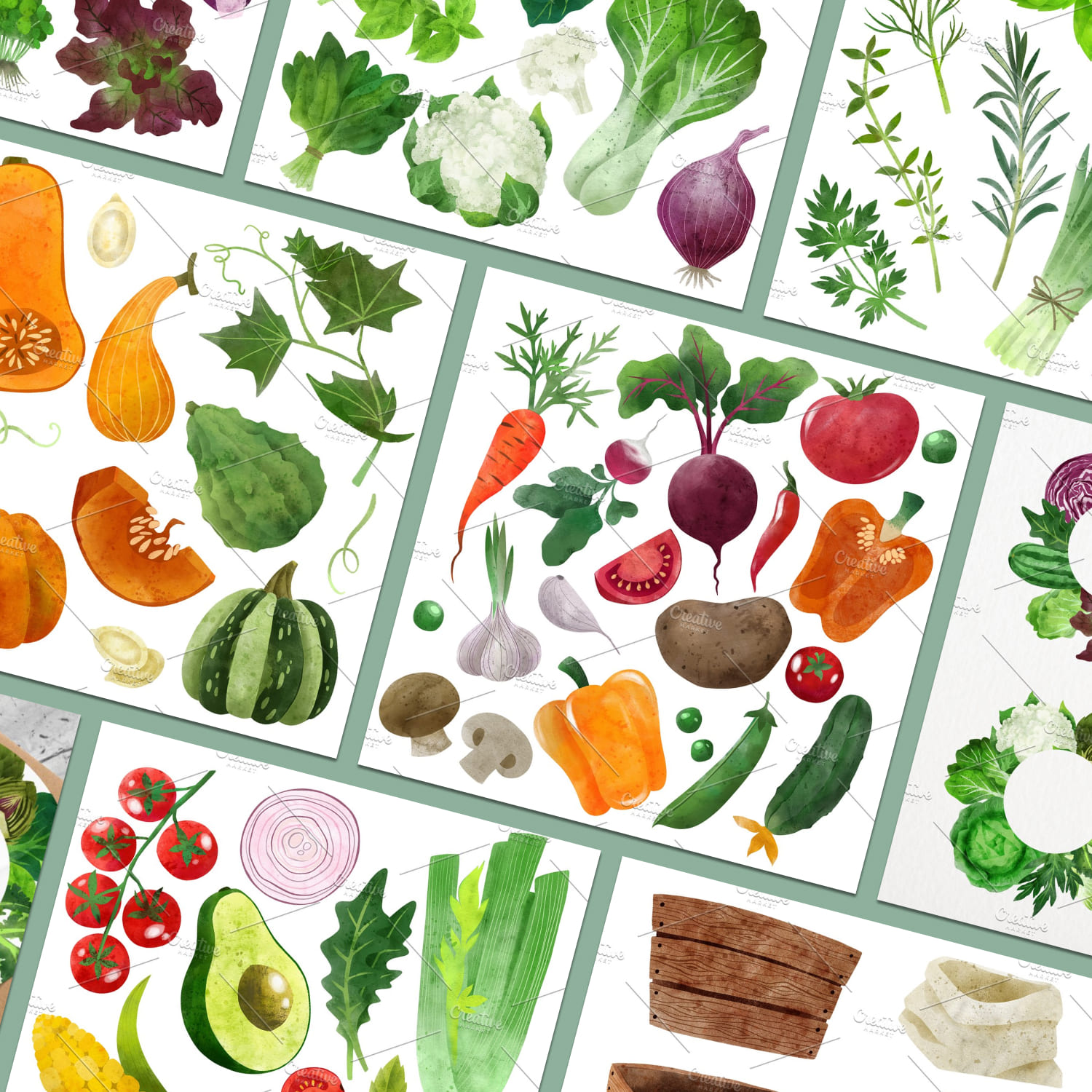 Vegetables, Herbs Watercolor Clipart created by JSolomatina.